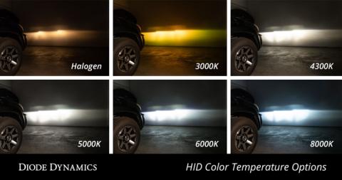HID Bulb D2H 3000K Pair Diode Dynamics