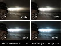 HID Bulb D4S 4300K Pair Diode Dynamics