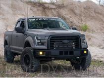 SS3 LED Fog Light Kit for 2015-2020 Ford F-150 White SAE Fog Sport w/ Backlight Diode Dynamics